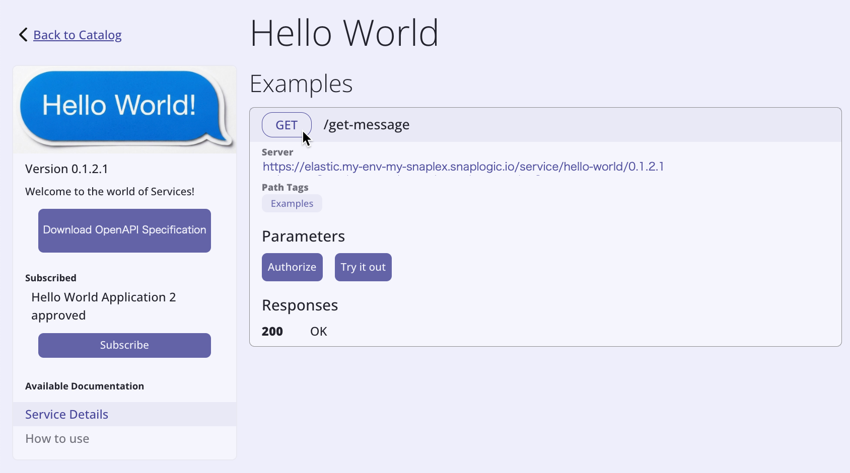 Endpoint with try it out enabled