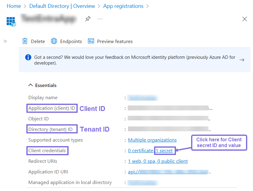 Application Settings of the newly registered app