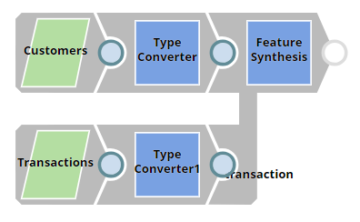 Customer and Transaction Datasets Preview