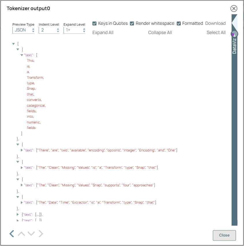 Tokenizer Snap output